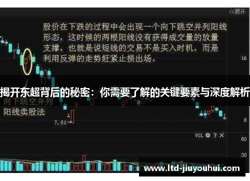 揭开东超背后的秘密：你需要了解的关键要素与深度解析